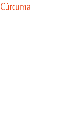 Curcuma
La cúrcuma es una especia muy valorada en la cocina de la India, por su gran aroma y su sabor ligeramente picante.
Proviene de una planta herbácea perteneciente a la familia de las zingiberáceas, y conocida científicamente como Curcuma longa. Posee un llamativo y característico color amarillo-anaranjado, debido especialmente a la presencia de curcumina. Por ello desde hace muchos siglos la cúrcuma se viene utilizando como colorante alimentario, especialmente en maravillosos platos de arroz y de carne.